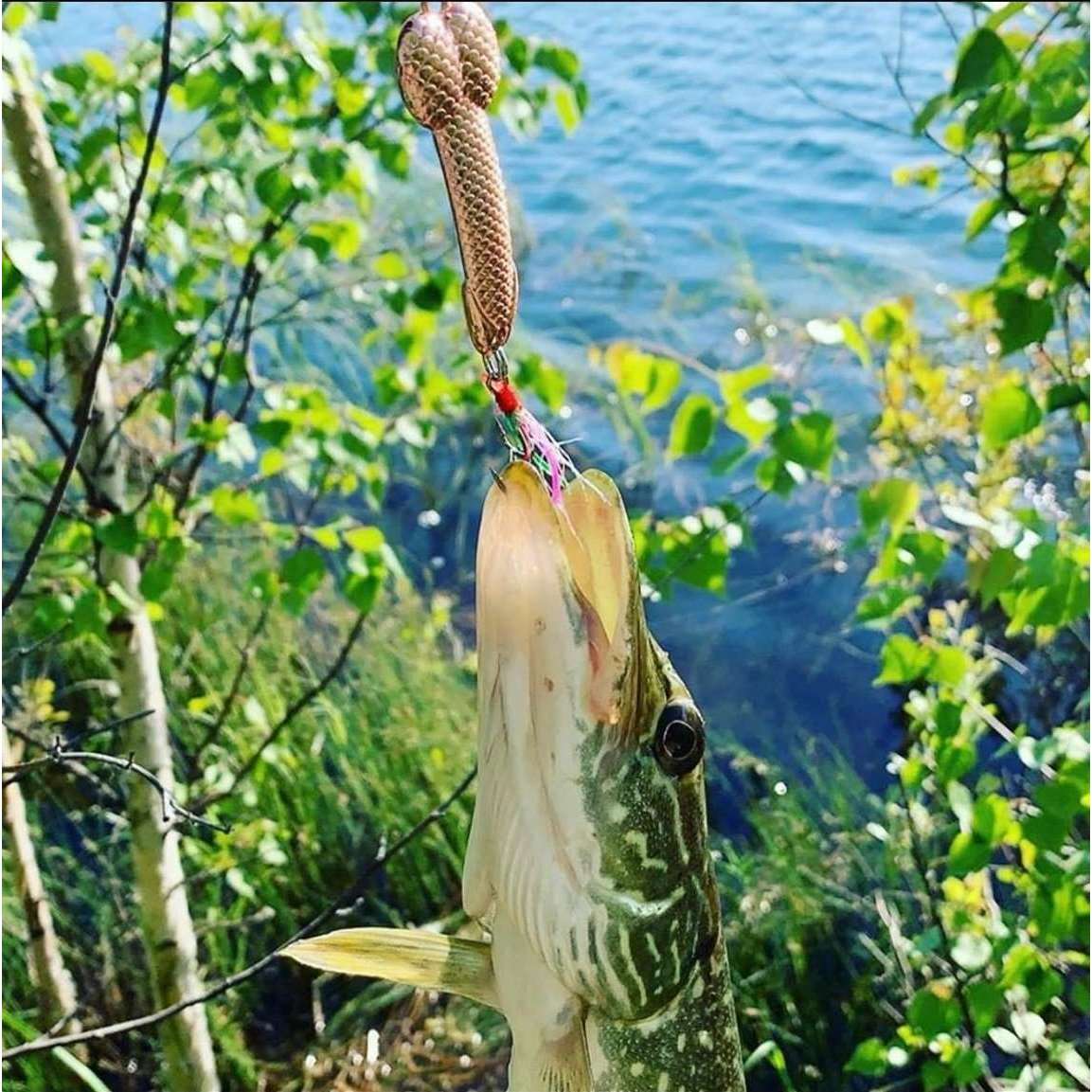 Silly Spoonbait Penis Lure - 4 Pack - Gold or Black